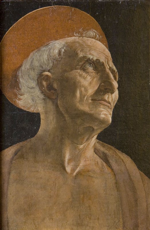 San Girolamo Opere Le Gallerie degli Uffizi