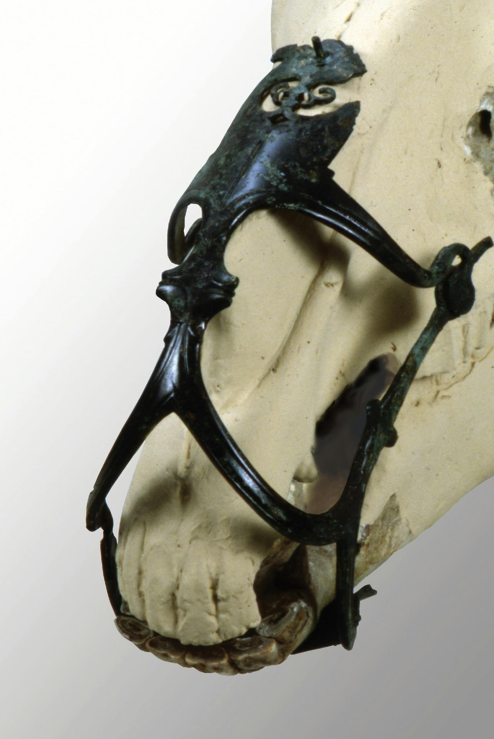 Museruola per cavallo, epoca ellenistica (IV secolo a.C) Bronzo Este, Museo Nazionale Atestino