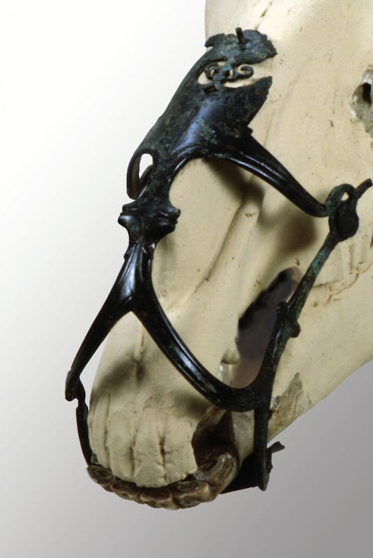 Museruola per cavallo, IV sec. a.C.