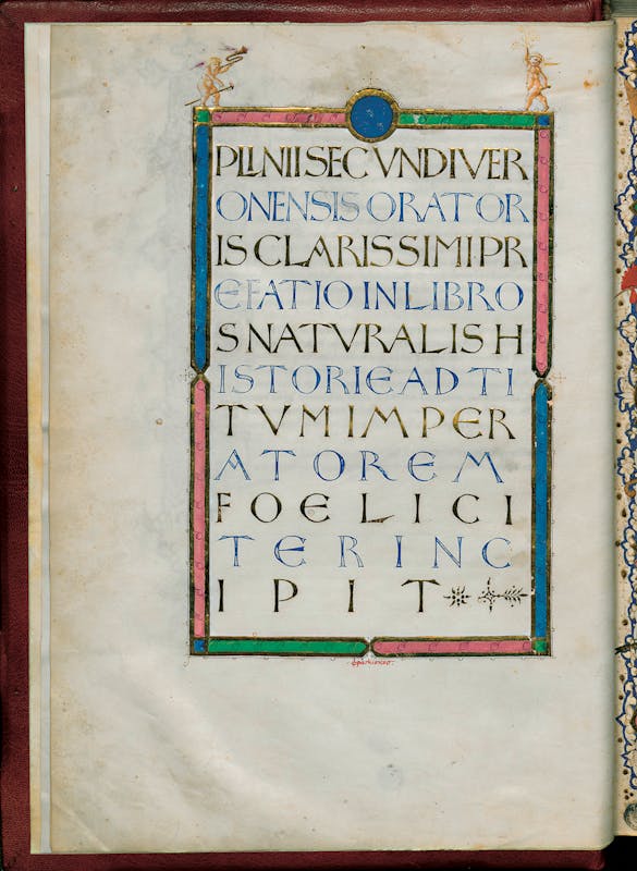 Water as Microscope of Nature. Leonardo da Vinci’s Codex Leicester ...
