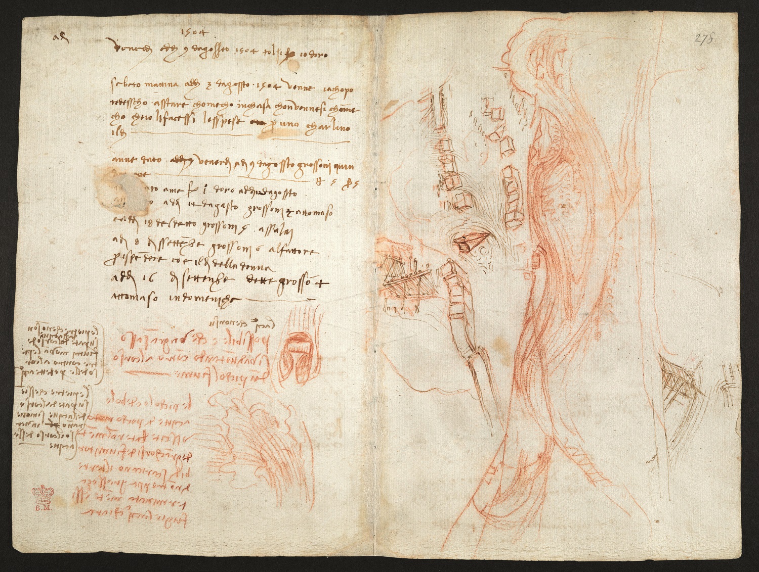 ÐÐ°ÑÑÐ¸Ð½ÐºÐ¸ Ð¿Ð¾ Ð·Ð°Ð¿ÑÐ¾ÑÑ Water as Microscope of Nature. Leonardo da Vinciâs Codex Leicester