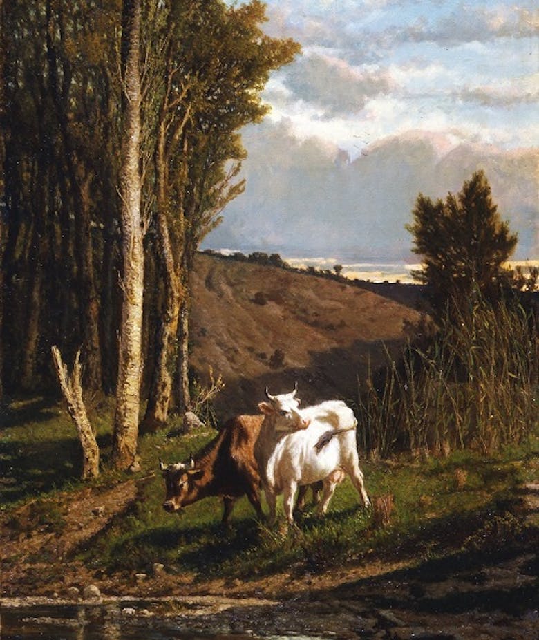 Una Pastura