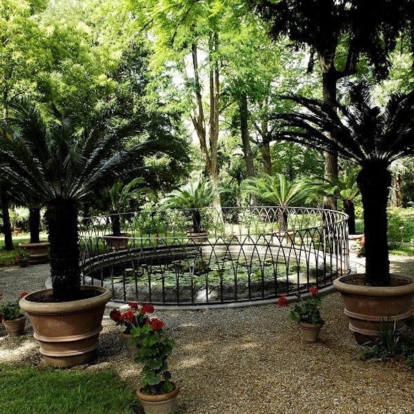 Il Giardino Della Botanica Superiore Opere Le Gallerie Degli Uffizi
