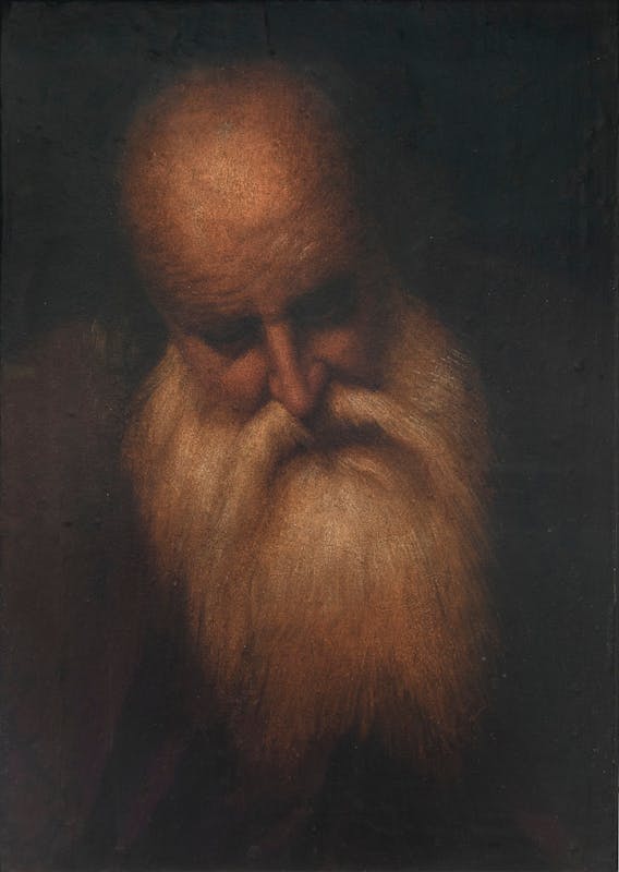 Testa di uomo anziano, Camillo Boccacino