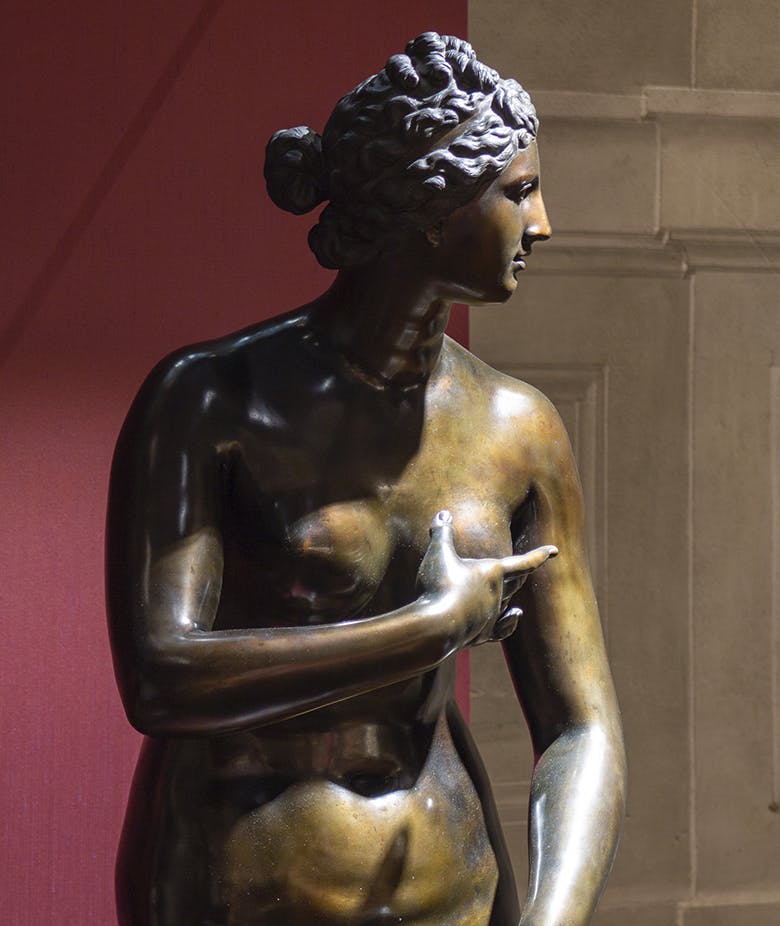 Plasmato dal fuoco. La scultura in bronzo nella Firenze degli ultimi Medici Plasmato dal fuoco. La scultura in bronzo nella Firenze degli ultimi Medici