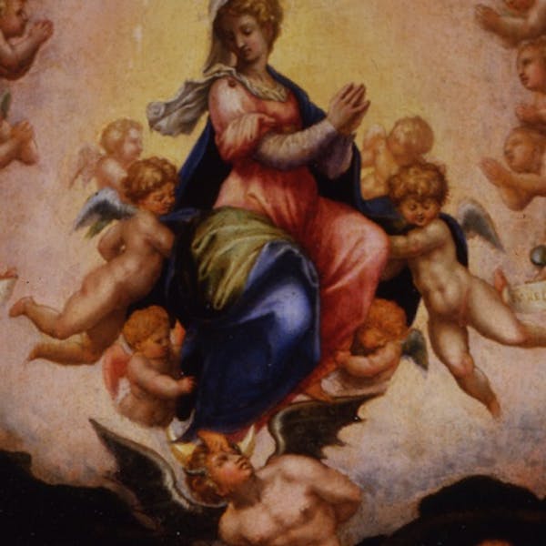 Giorgio Vasari Allegoria Dell Immacolata Concezione Opere Le Gallerie Degli Uffizi