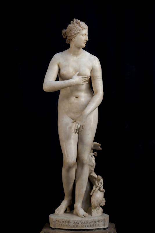 Venere de’ Medici, Firenze, Gallerie degli Uffizi, Galleria delle Statue e delle Pitture.