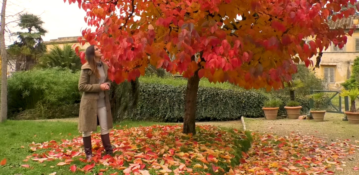 Arte E Natura Nel Giardino Di Boboli Le Gallerie Degli Uffizi
