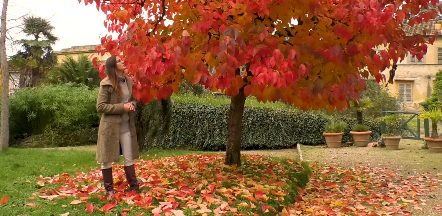 L'autunno nel Giardino di Boboli