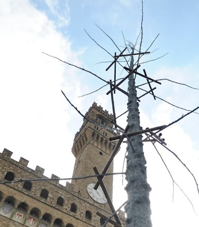 Dantedì: In Piazza Signoria sorge un albero del "Paradiso" di Giuseppe Penone