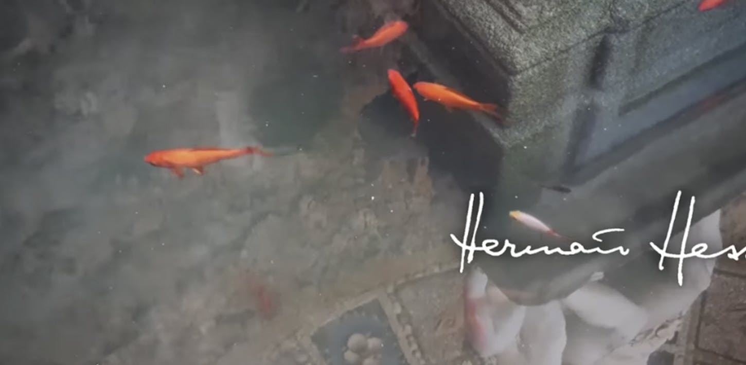 I pesciolini di Hermann Hesse