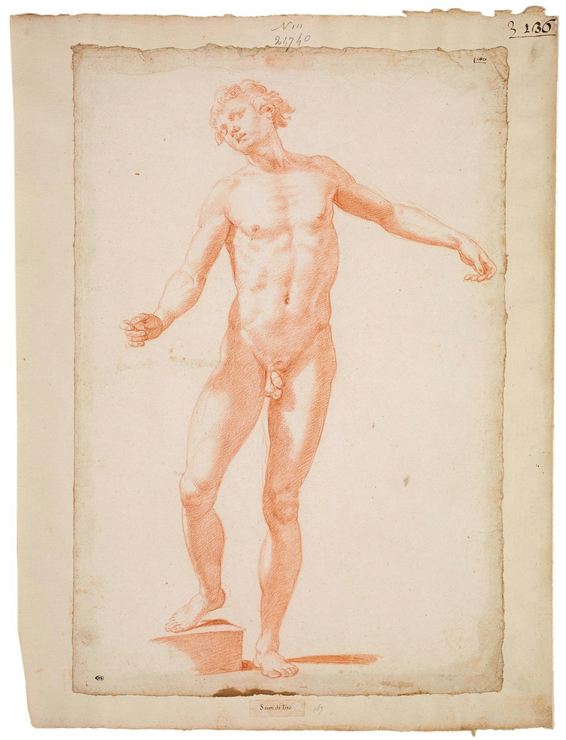 Santi di Tito (Sansepolcro 1536-Firenze 1603) Studio di nudo in piedi voltato verso sinistra 1570-1580 circa Matita rossa Parigi, Musée du Louvre, Département des Arts Graphiques 