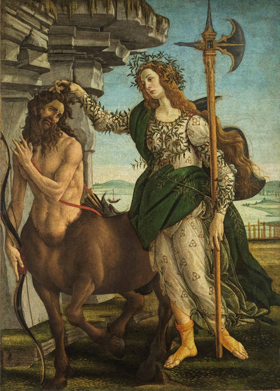 Sandro Botticelli (Firenze ...? - 1510), Pallade e il Centauro, XV secolo (1482 ca.).  Firenze, Galleria degli Uffizi
