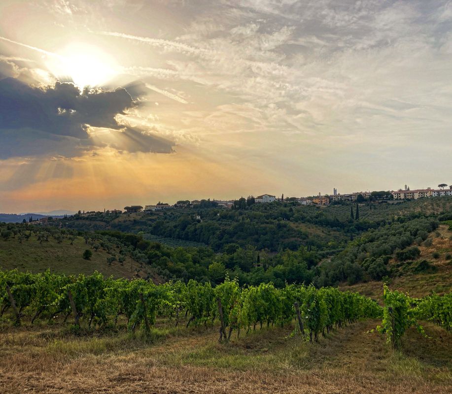 San Casciano Val Di Pesa | Terre Degli Uffizi | Uffizi Galleries