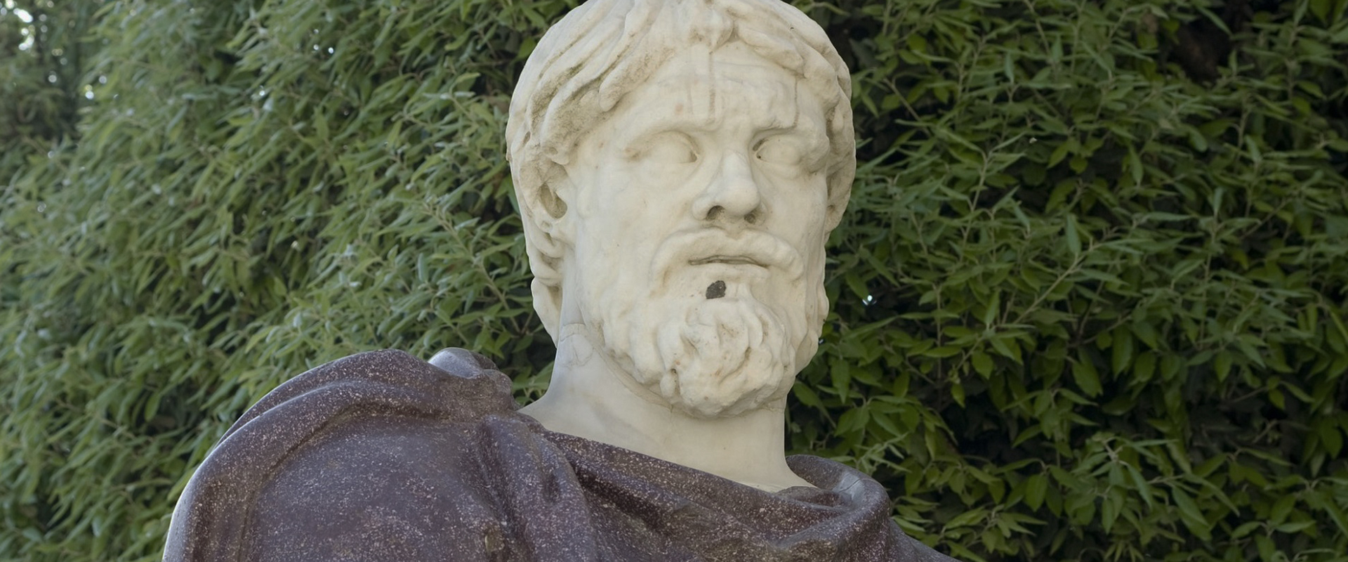 Header daci.jpg?ixlib=rails 2.1